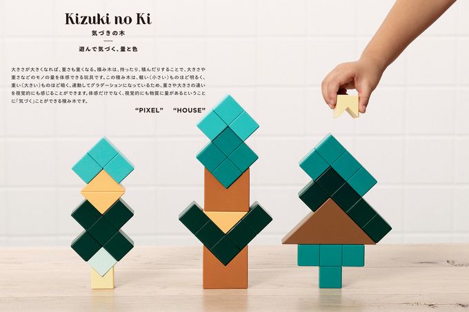 https://www.ehonnavi.net/shopping/item.asp?c=4901480345215